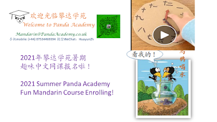 Panda Academy - Opiniones