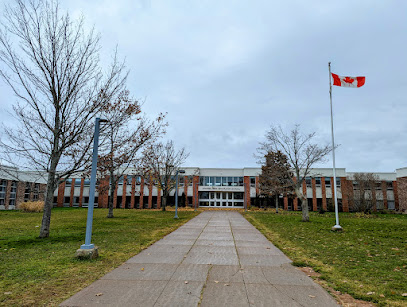 Colonel Gray Senior High School - Opiniones