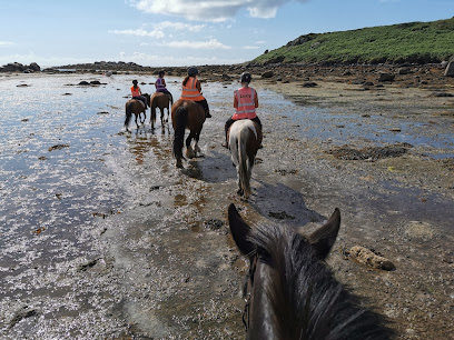 St. Mary&apos;s Riding Centre Ltd - Opiniones