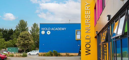 Wold Academy - Opiniones