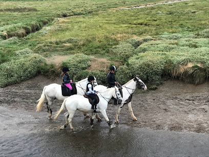 Newquay Riding Stables - Opiniones