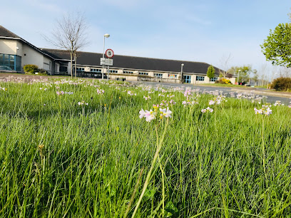 Castle Gardens Primary School - Opiniones