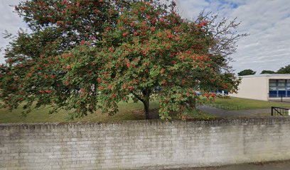 Cockenzie Primary School - Opiniones