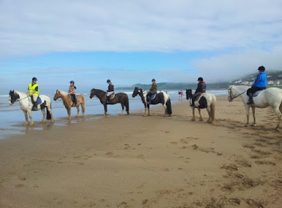 Woolacombe riding stables - Opiniones