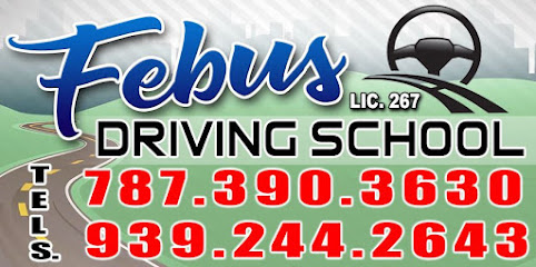 FEBUS DRIVING SCHOOL - Opiniones