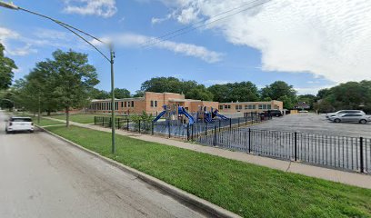 Brown Community Academy Elementary School - Opiniones