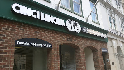 Cincilingua International Language Center - Opiniones