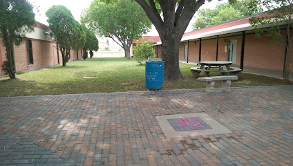 Mejores academias de inglés en Harlingen, Texas, EE. UU.